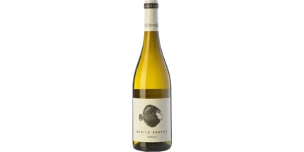 Benito Santos Godello 2021