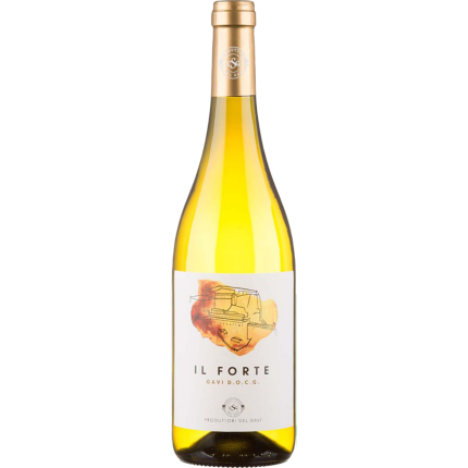 Gavi Il Forte 2024